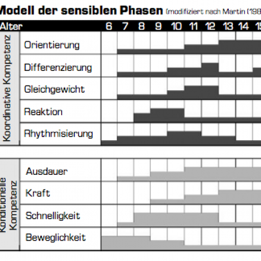 Bild_Entwicklung_Phasen