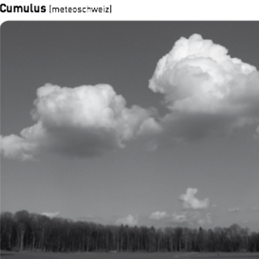 Cumulus