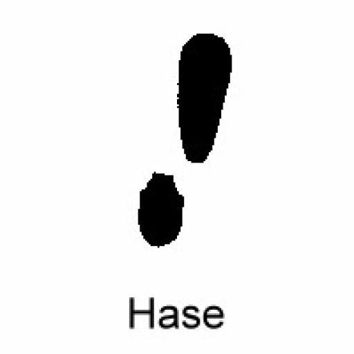 Hase