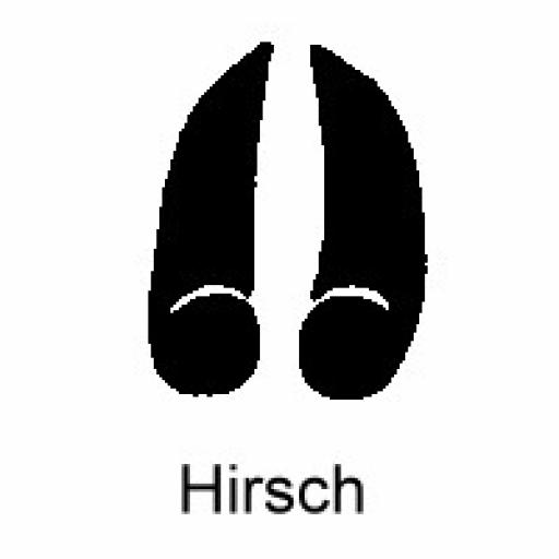 Hirsch