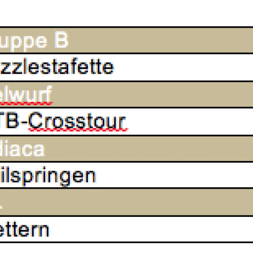 Organisationsplan_01