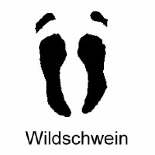 Wildschwein